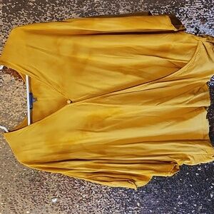 Democracy Mustard V-Neck Blouse